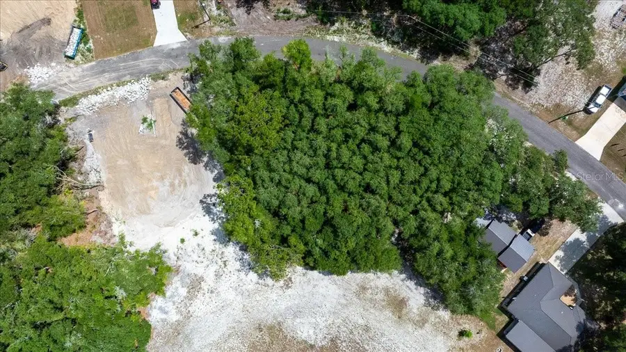 Fisher Lane Court, Ocklawaha, FL 32179 - #2
