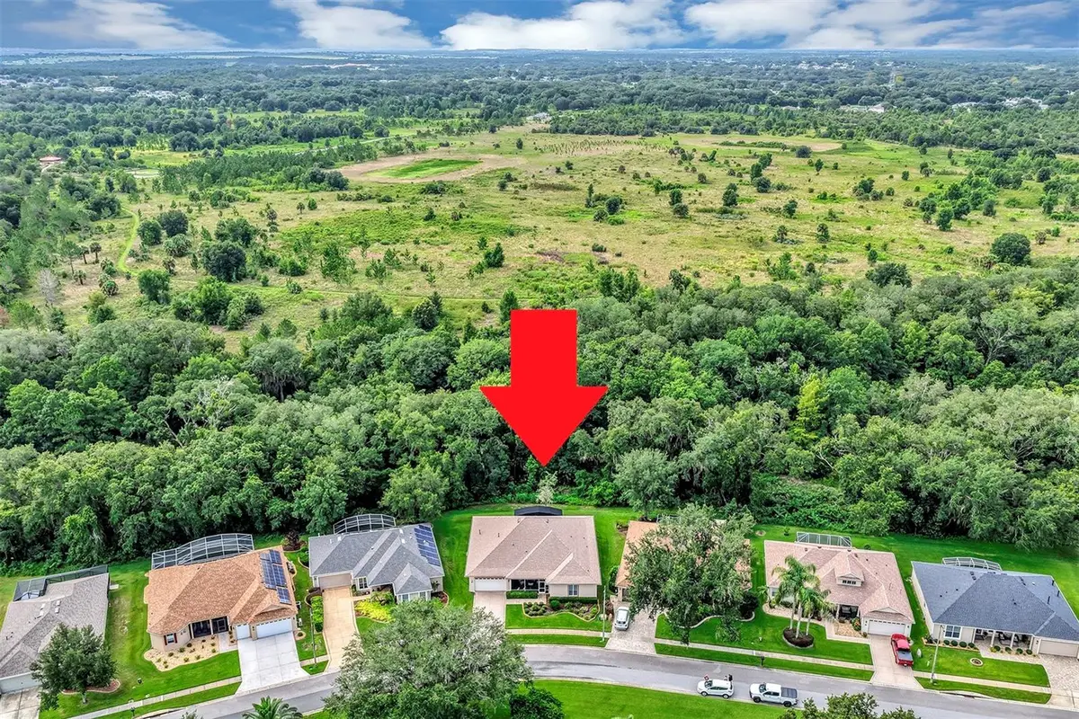 4348 Antietam Creek Trail, Leesburg, FL 34748 - #1