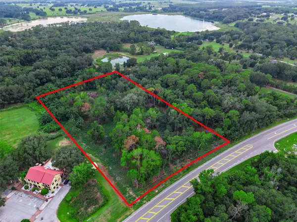 County Road 48, YALAHA, FL 34797