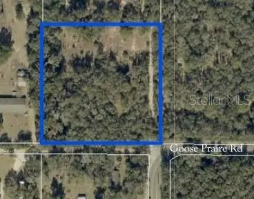 10681 Goose Prairie Rd Road, Leesburg, FL 34788 - #1