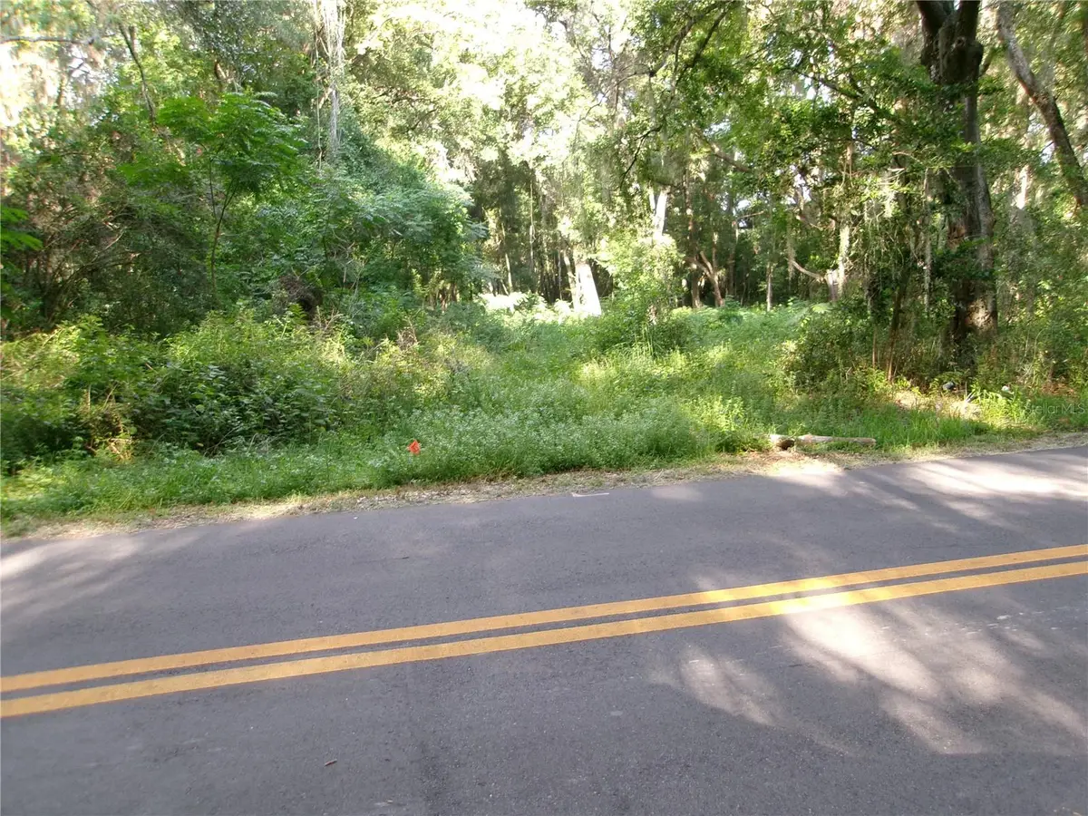 St Clair Street, Wildwood, FL 34785 - #1