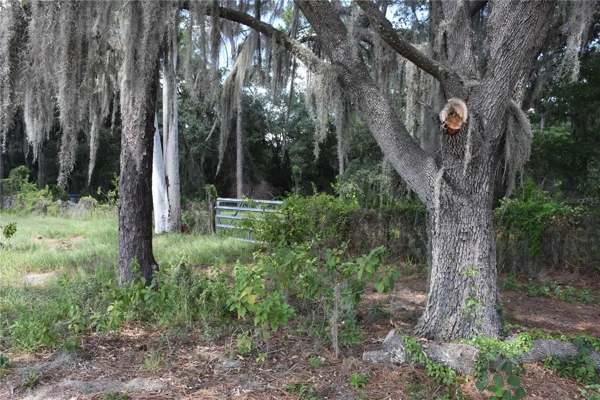 31328 Sand Lake Drive, Mount Dora, FL 32757 - #1