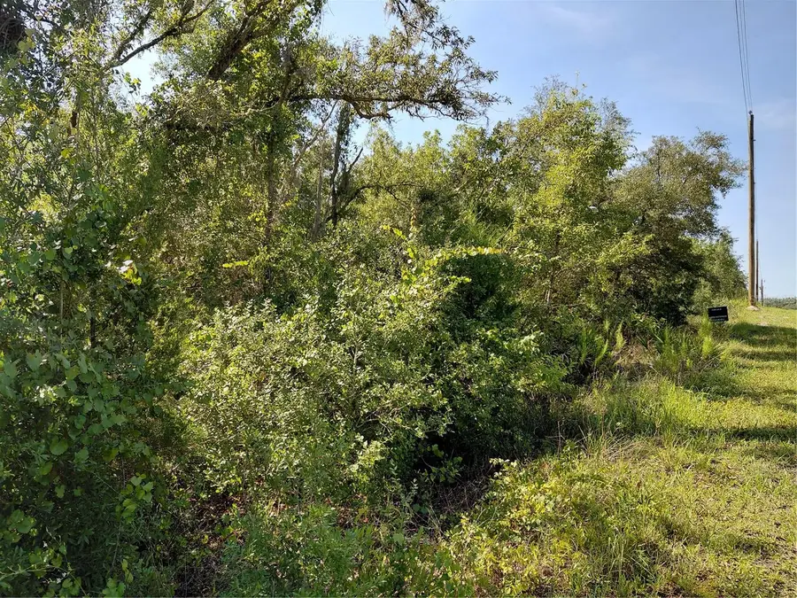 Wheystone Drive, Webster, FL 33597 - #3
