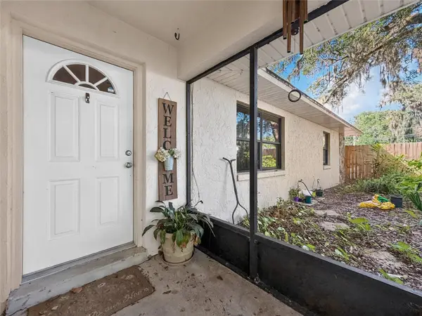 11025 SE 132nd Place, OCKLAWAHA, FL 32179