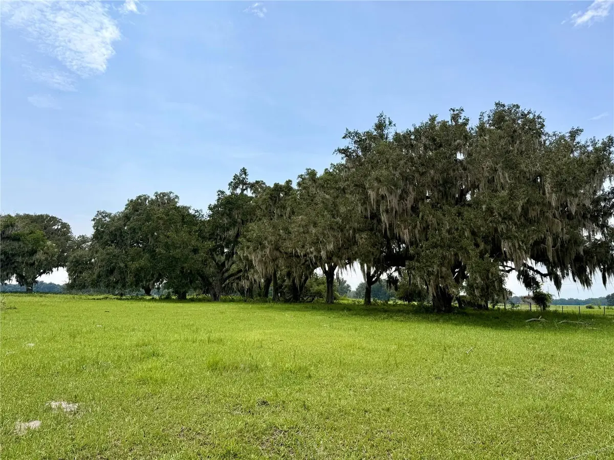 E C-478, Webster, FL 33597 - #1