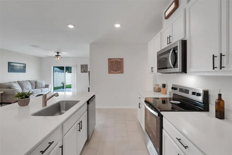 3615 Salvia Court, Tavares, FL 32778 - #3