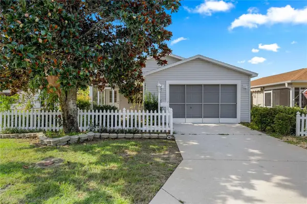 272 Emmalee Place, THE VILLAGES, FL 32162
