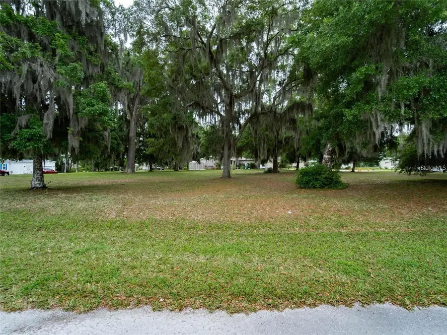 LOT 54 BLK C Lexington Circle, Wildwood, FL 34785 - #3