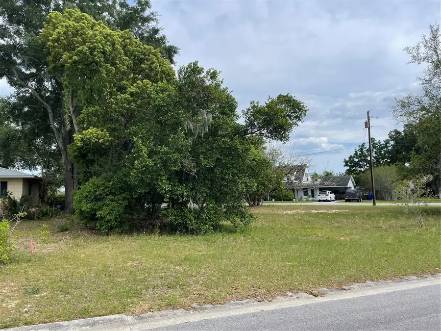 Clara Avenue, Tavares, FL 32778 - #3