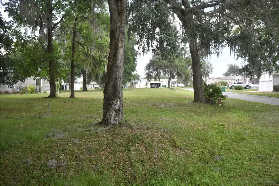 Lot 7 Blk D Lexington Circle, Wildwood, FL 34785 - #3