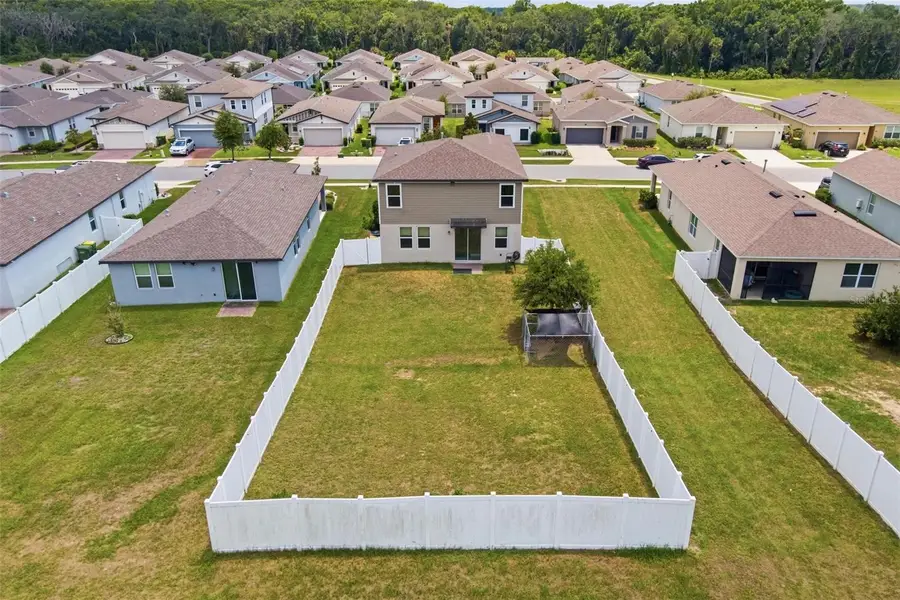 29460 Caspian Street, Leesburg, FL 34748 - #2