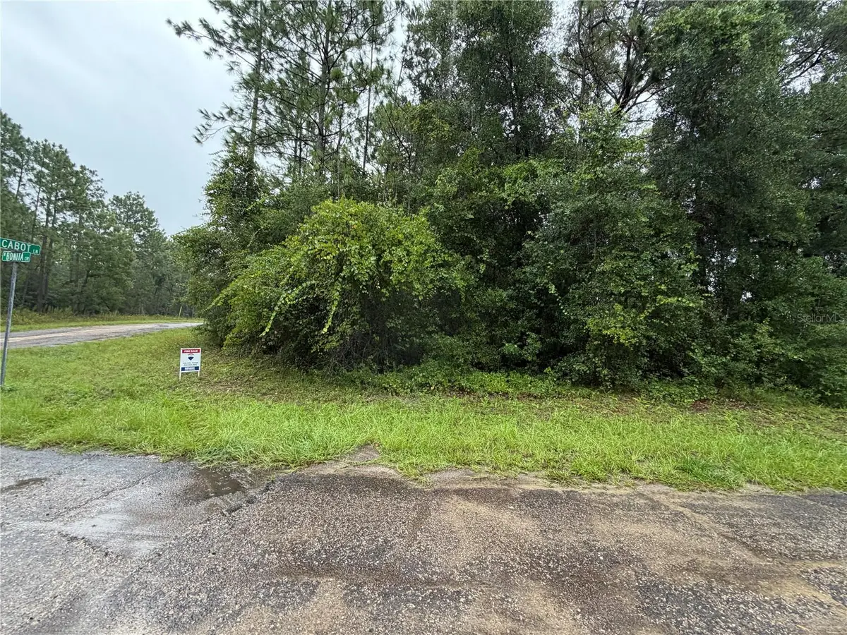 482 W Cabot Lane, Citrus Springs, FL 34434 - #1