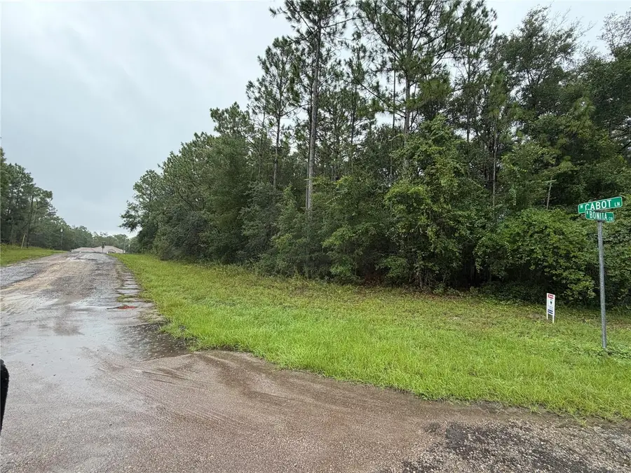482 W Cabot Lane, Citrus Springs, FL 34434 - #2