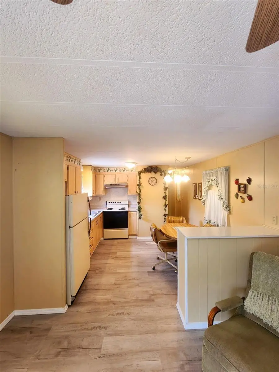 35015 Major Dade, Dade City, FL 33523 - #3