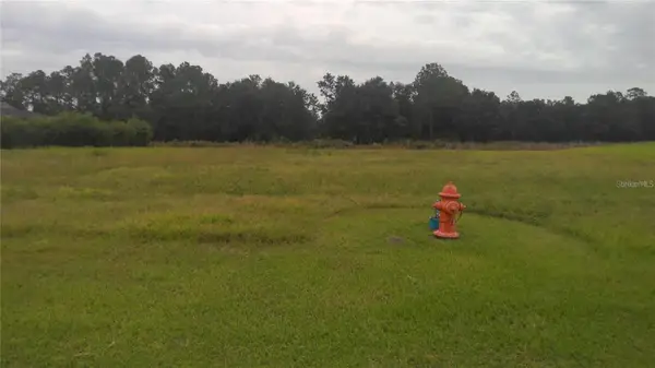 Cypress Trace Boulevard, LAKELAND, FL 33809