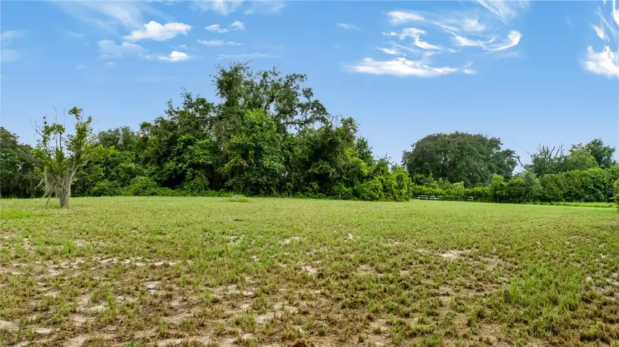 Trotting Horse Lane, Tavares, FL 32778 - #2