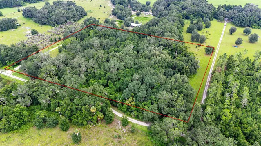 Se 44 Place, Bushnell, FL 33513 - #3