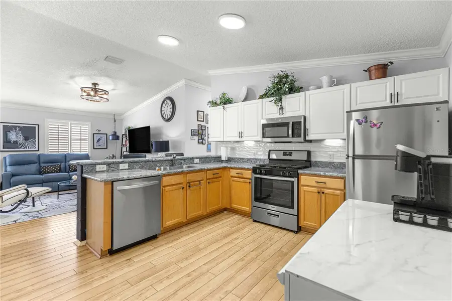 1660 Orr Terrace, The Villages, FL 32162 - #3