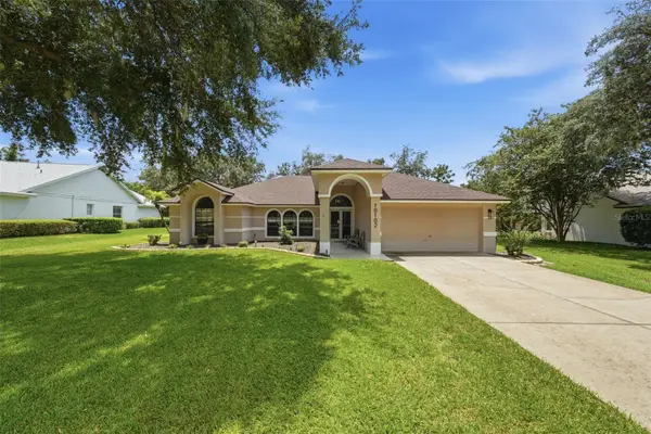10102 Silver Bluff Drive, LEESBURG, FL 34788