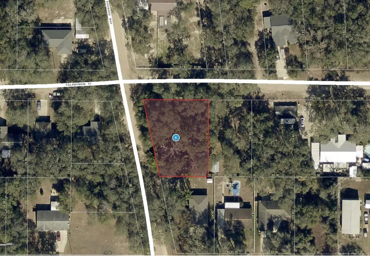 Dogwood Way, Lady Lake, FL 32159 - #1