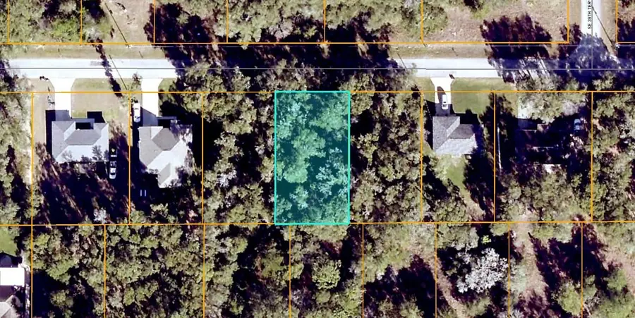 SE 139th Lane, Summerfield, FL 34491 - #2