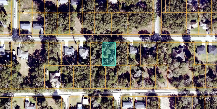 SE 139th Lane, Summerfield, FL 34491 - #3