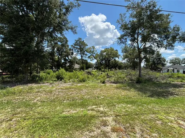 SE 164th Place, SUMMERFIELD, FL 34491