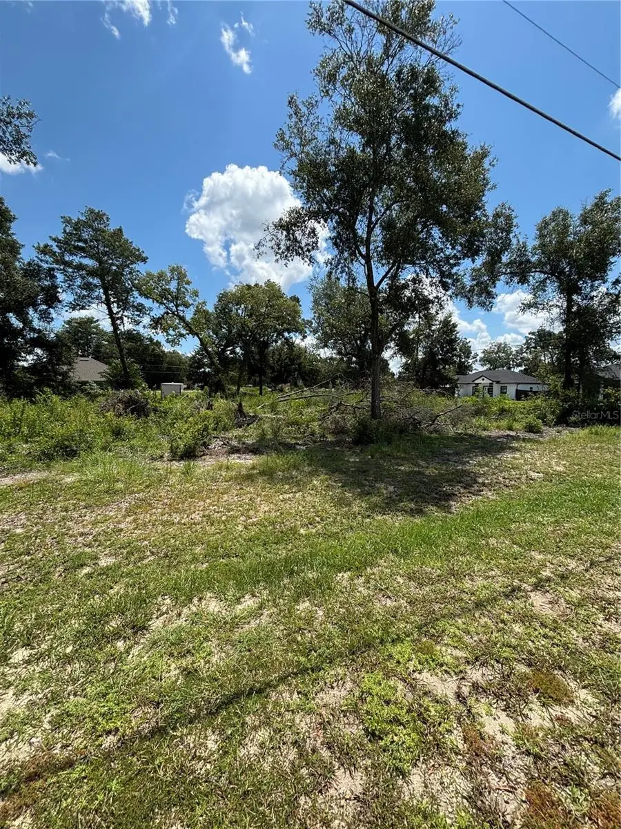 SE 164th Place, Summerfield, FL 34491 - #2