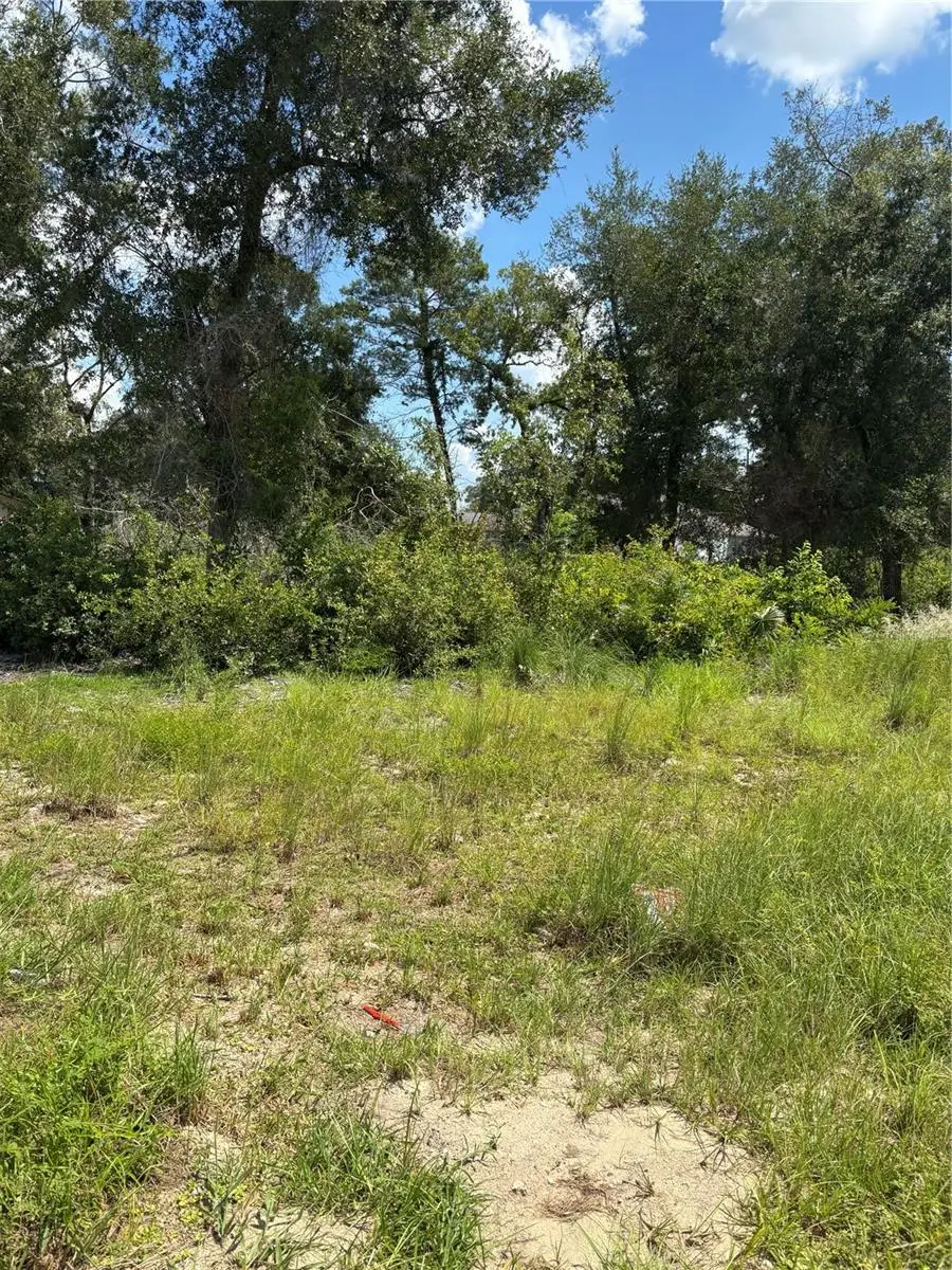 SE 164th Place, Summerfield, FL 34491 - #3