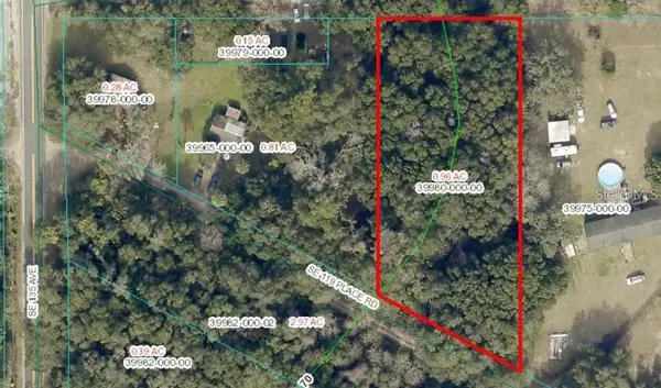 13581 119th Pl, OCKLAWAHA, FL 32179