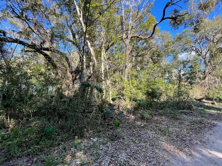 13581 119th Pl, Ocklawaha, FL 32179 - #3