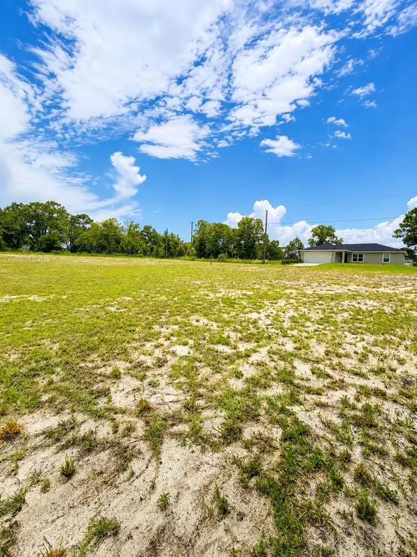 TBD SE 126th Street, BELLEVIEW, FL 34420