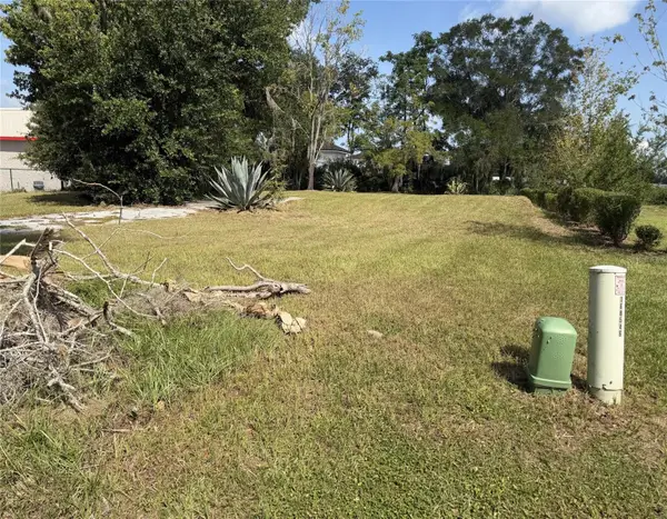 121 W Lemon Street, LADY LAKE, FL 32159