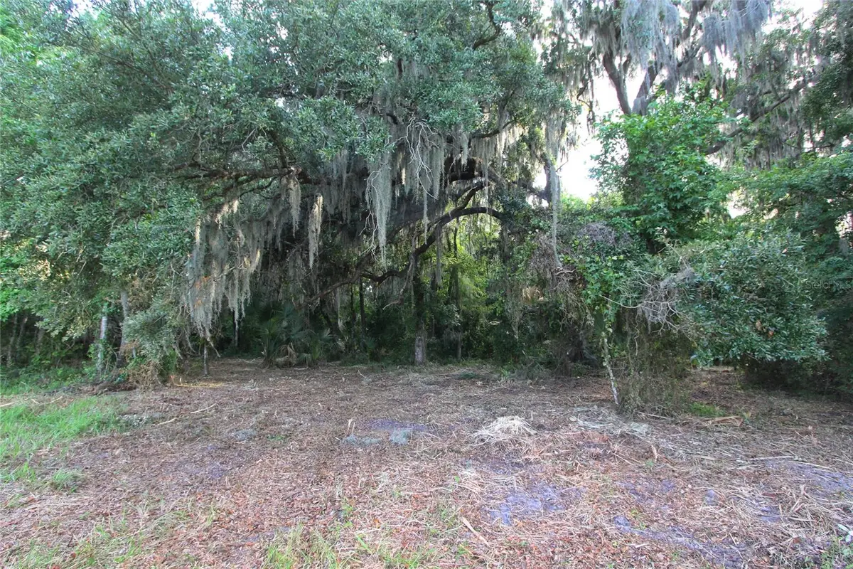 TBD Cr 526, Sumterville, FL 33585 - #1