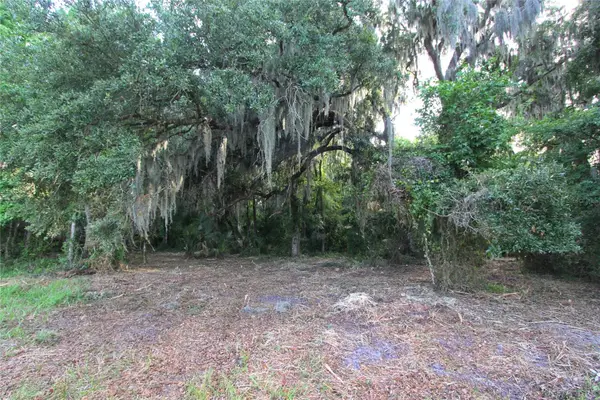 TBD Cr 526, SUMTERVILLE, FL 33585