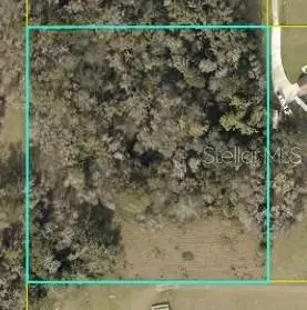 TBD Cr 526, Sumterville, FL 33585 - #2
