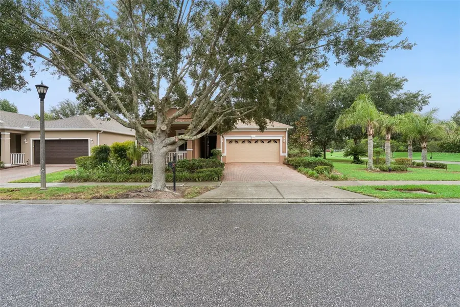 100 Flame Vine Way, Groveland, FL 34736 - #2