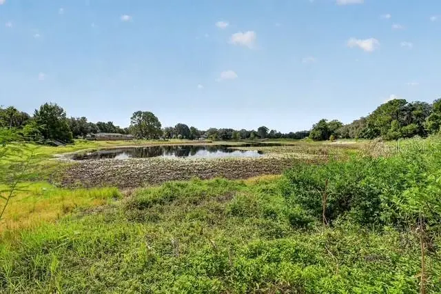 37406 Turner Drive, Umatilla, FL 32784 - #2
