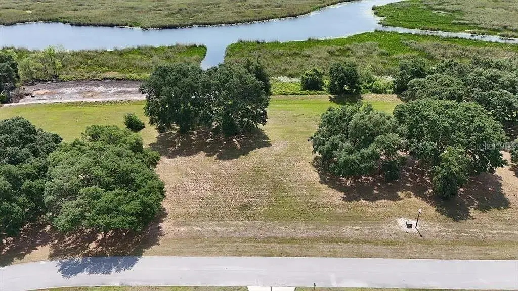Royal Palm Drive, Groveland, FL 34736 - #1