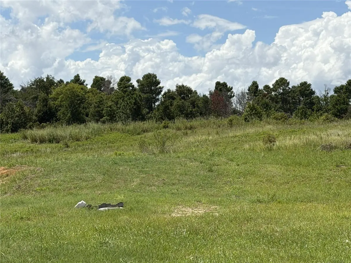 16813 Bolsena Drive, Bella Collina, FL 34756 - #1