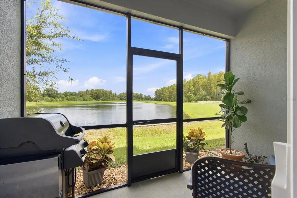 2213 Cerulean Sky Drive, Lutz, FL 33558 - #1