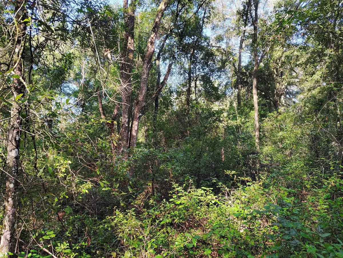 SW 158th Lane, Dunnellon, FL 34432 - #1