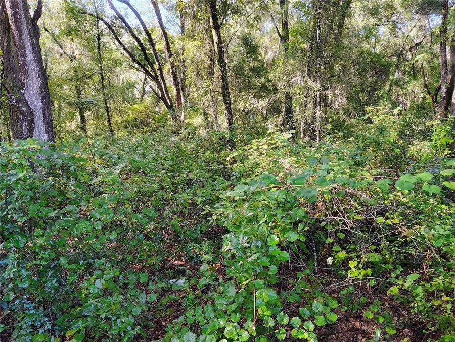 SW 158th Lane, Dunnellon, FL 34432 - #2