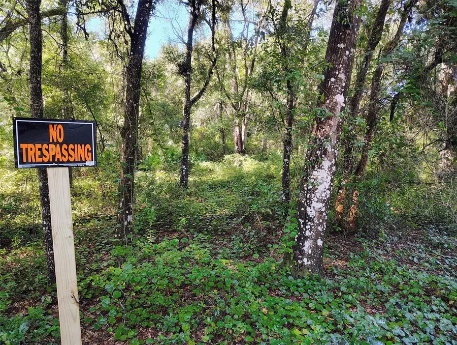 SW 158th Lane, Dunnellon, FL 34432 - #3