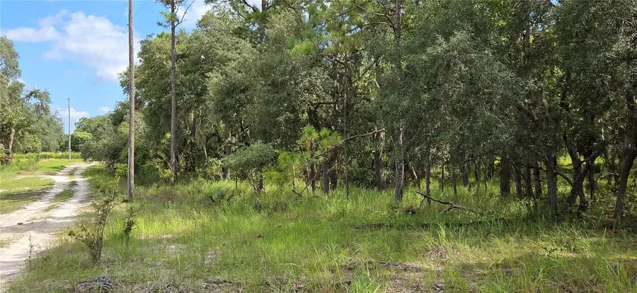 10400 E Moccasin Slough Road, Inverness, FL 34450 - #2
