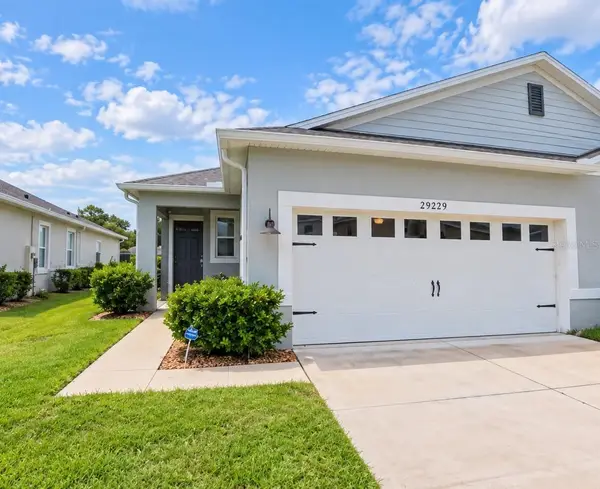 29229 Armoyan Boulevard, LEESBURG, FL 34748