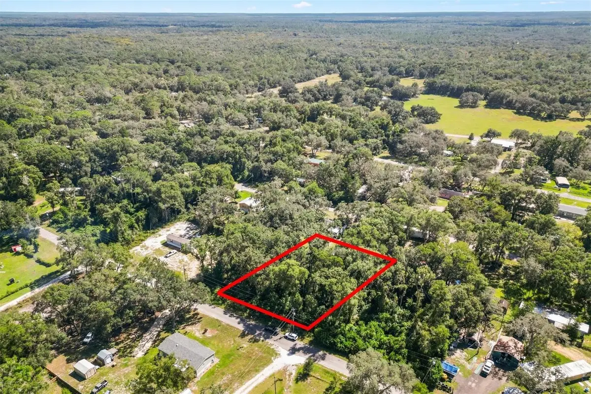 TBD Cr 690, Webster, FL 33597 - #1