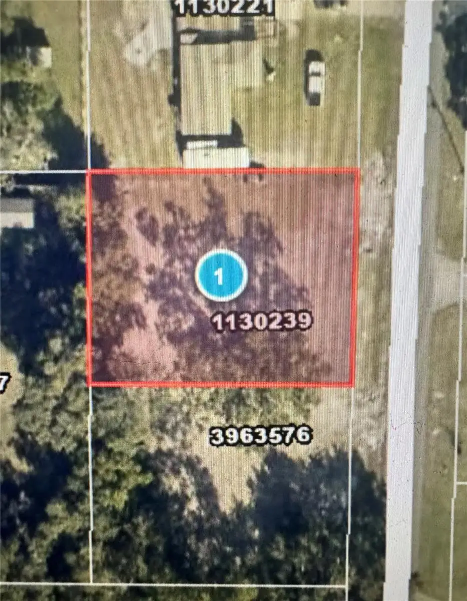TBD Ogden Avenue, Umatilla, FL 32784 - #1