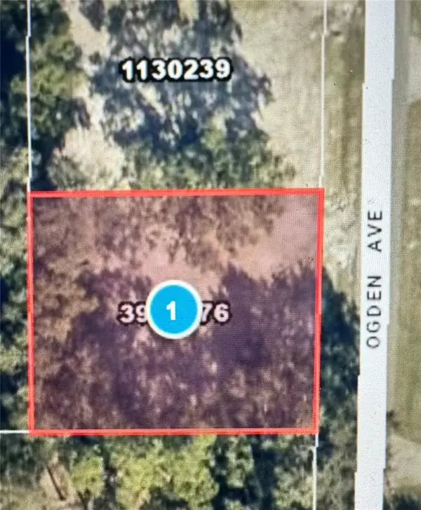 525 Ogden Avenue, UMATILLA, FL 32784