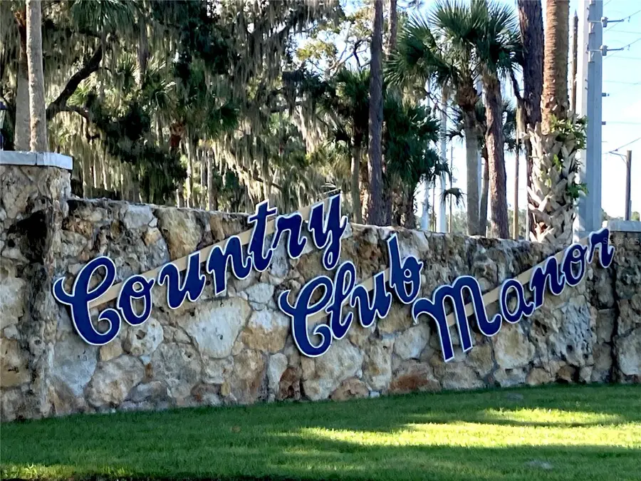 33 Cocos Plumosa Drive, Eustis, FL 32726 - #2